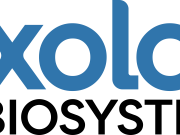 Şirket Logosu